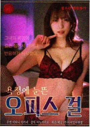 第七码头剧集更新封面